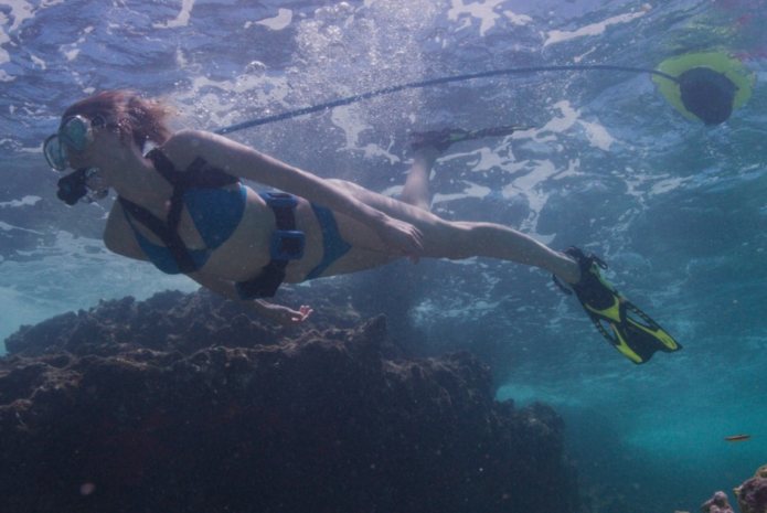 Blu3 Nemo snorkelling