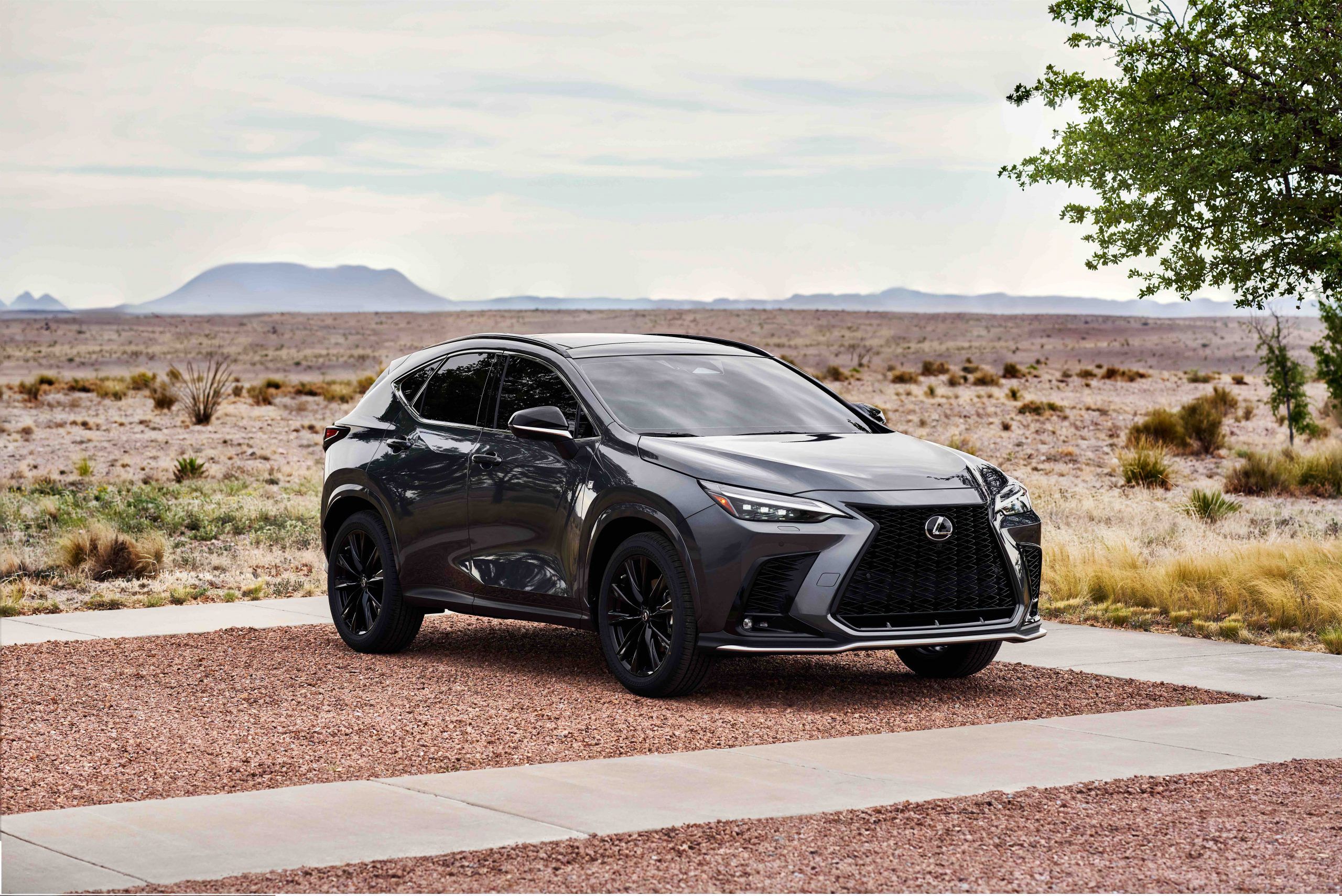 2022 Lexus NX