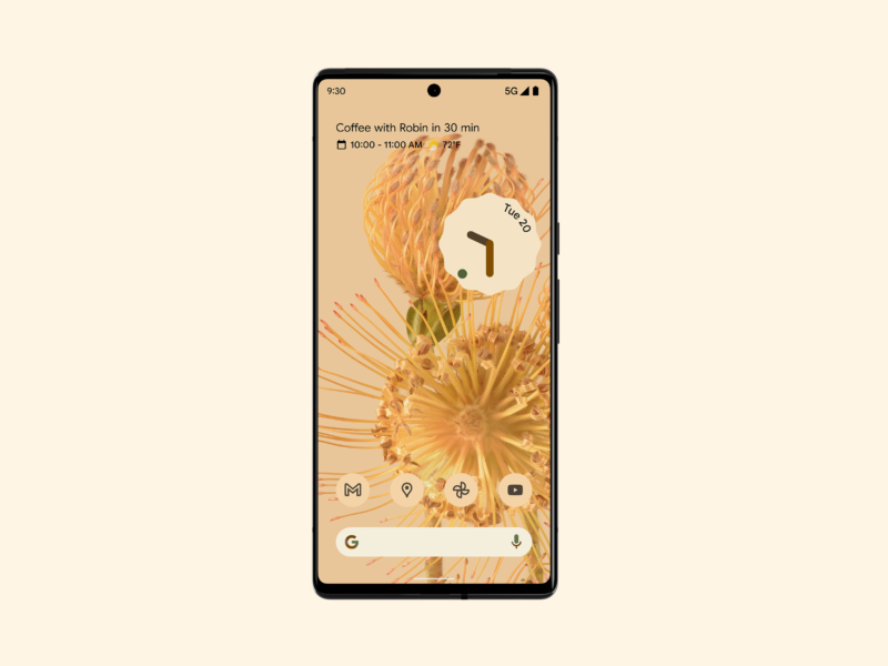 Pixel 6 pro