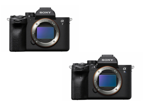 Sony A7 IV vs A7S III – The 10 main differences