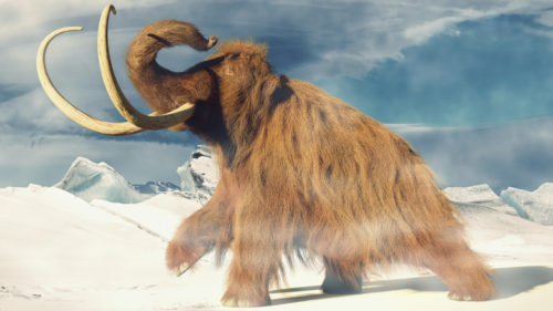 This Company Plans To Bring The Woolly Mammoth Back From Extinction: Here’s How