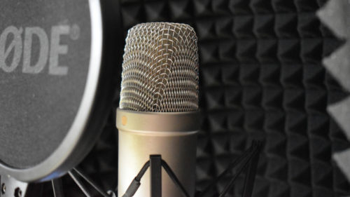 The 7 Best Vocal Microphones For Home Studios, Ranked By Price