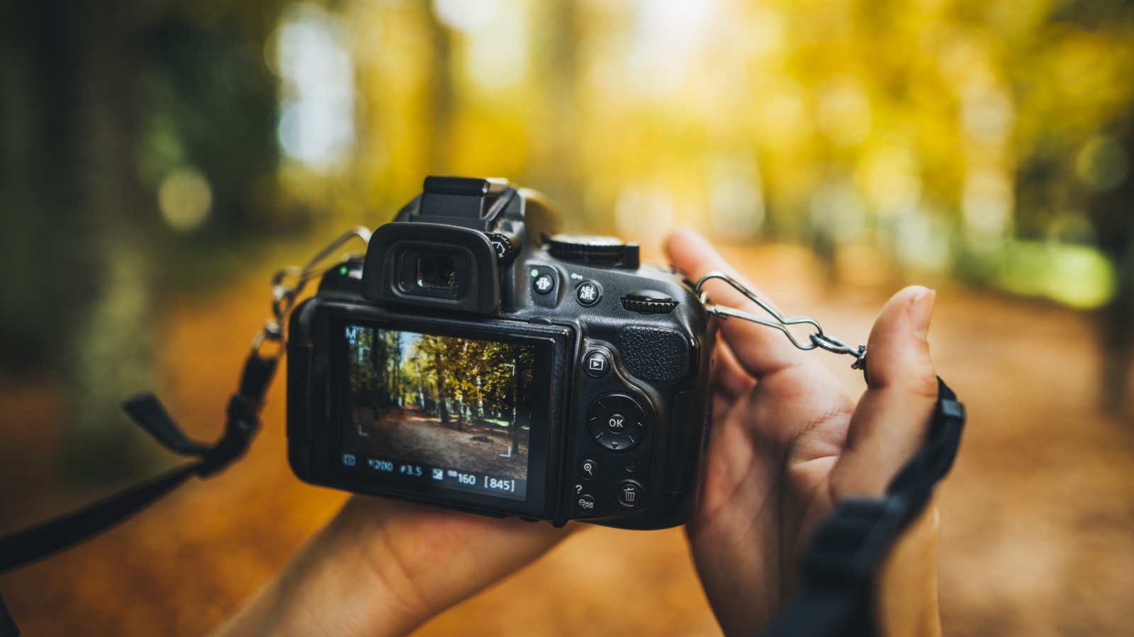 Here’s What DSLR Stands For (And Why These Cameras Are Still So Popular)