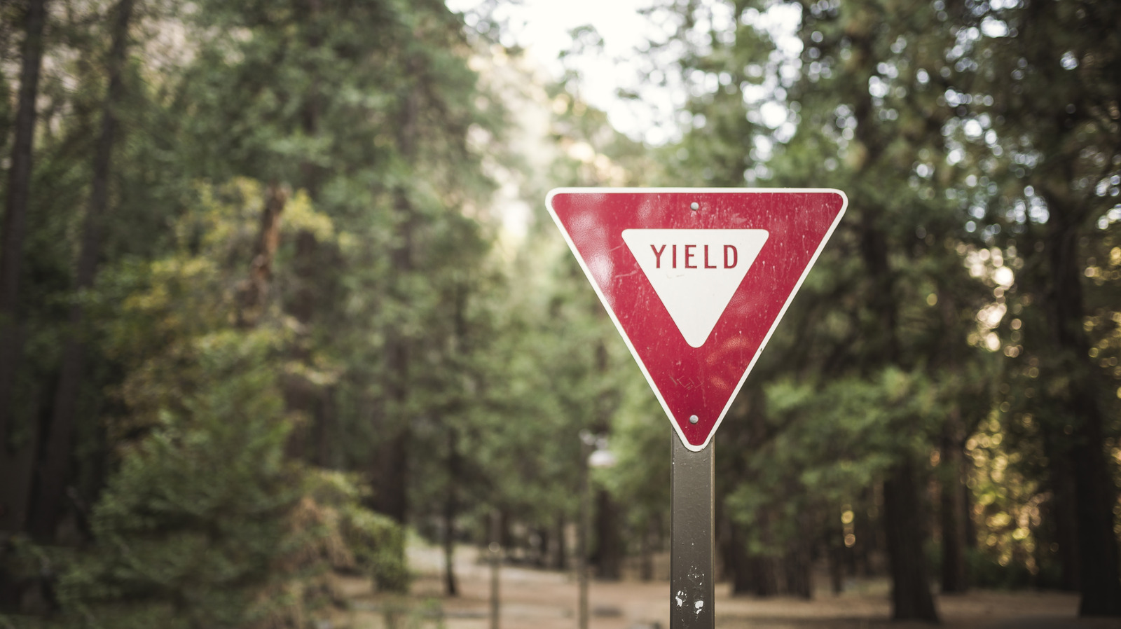 What Does ‘Yield’ Mean When Driving? How To Safely Navigate The Signs