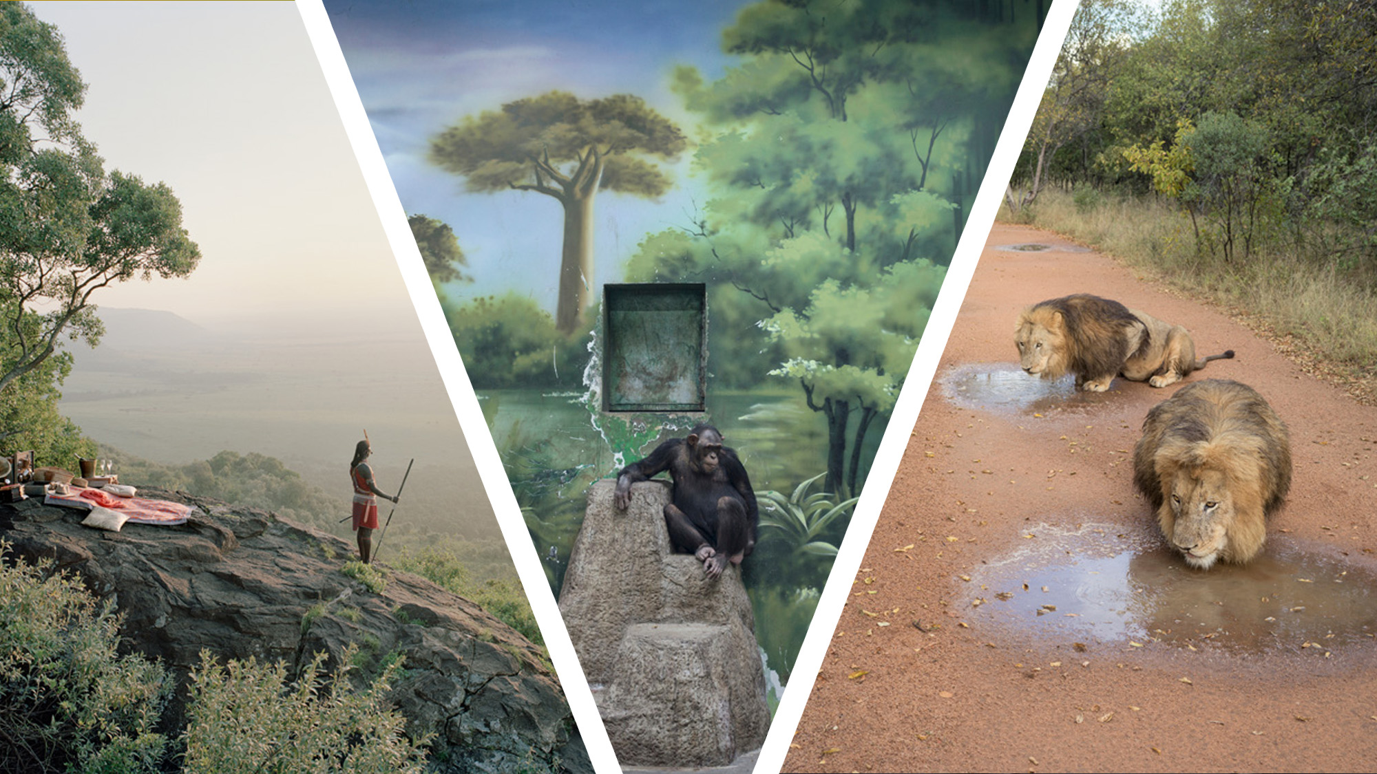 “If AI erodes people’s belief in photography, then we have problems” – we talk AI and cameras with the winner of the Sony World Photography Awards 2025