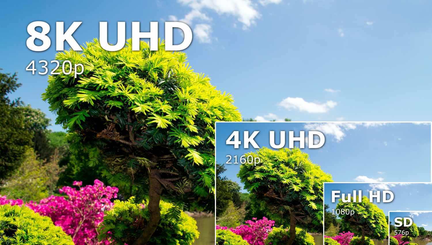 The 4K vs. 8K TV Showdown: Which One Should You Buy?