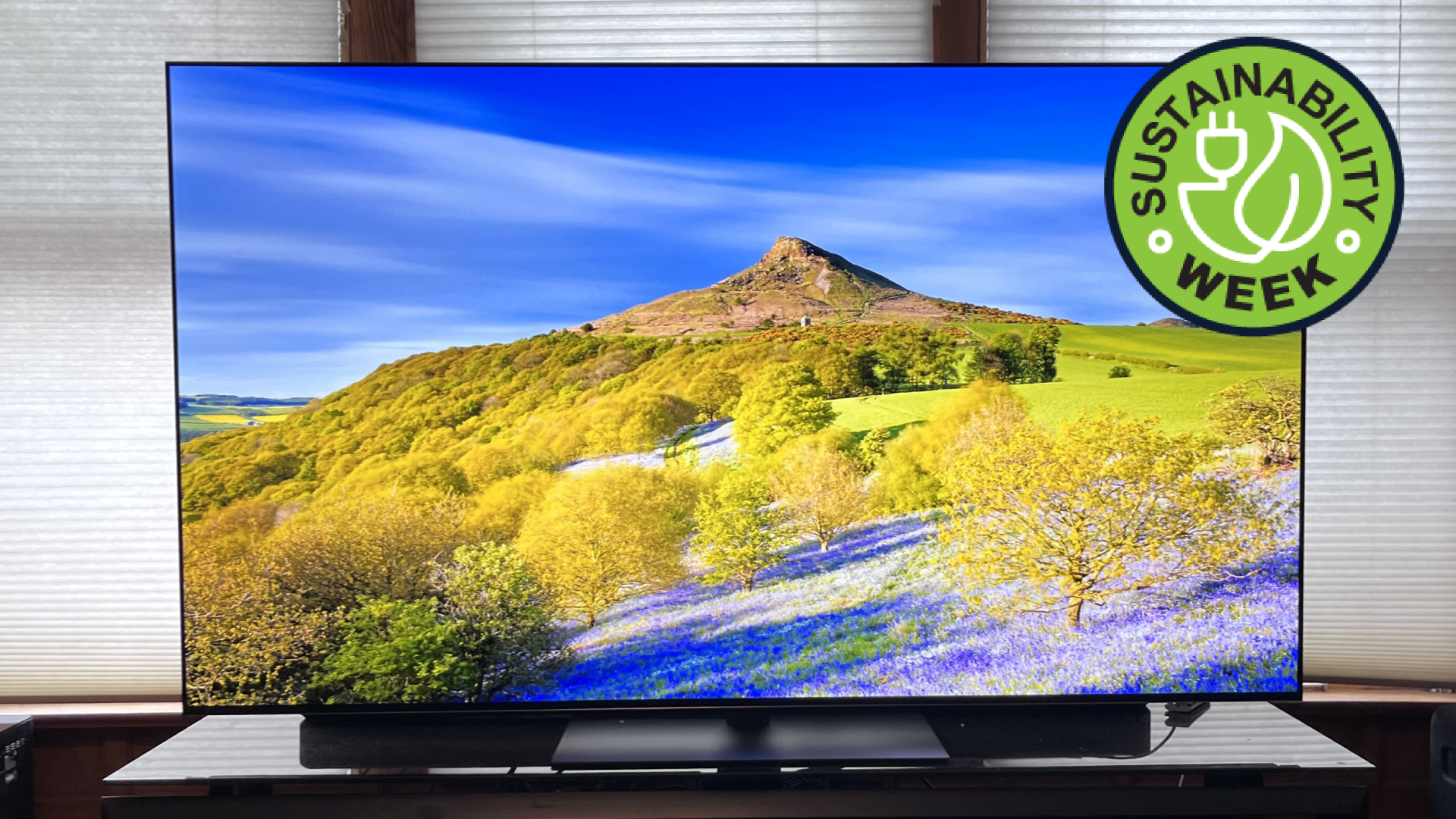 OLED, mini-LED, LED – which TV type is best for energy efficiency?