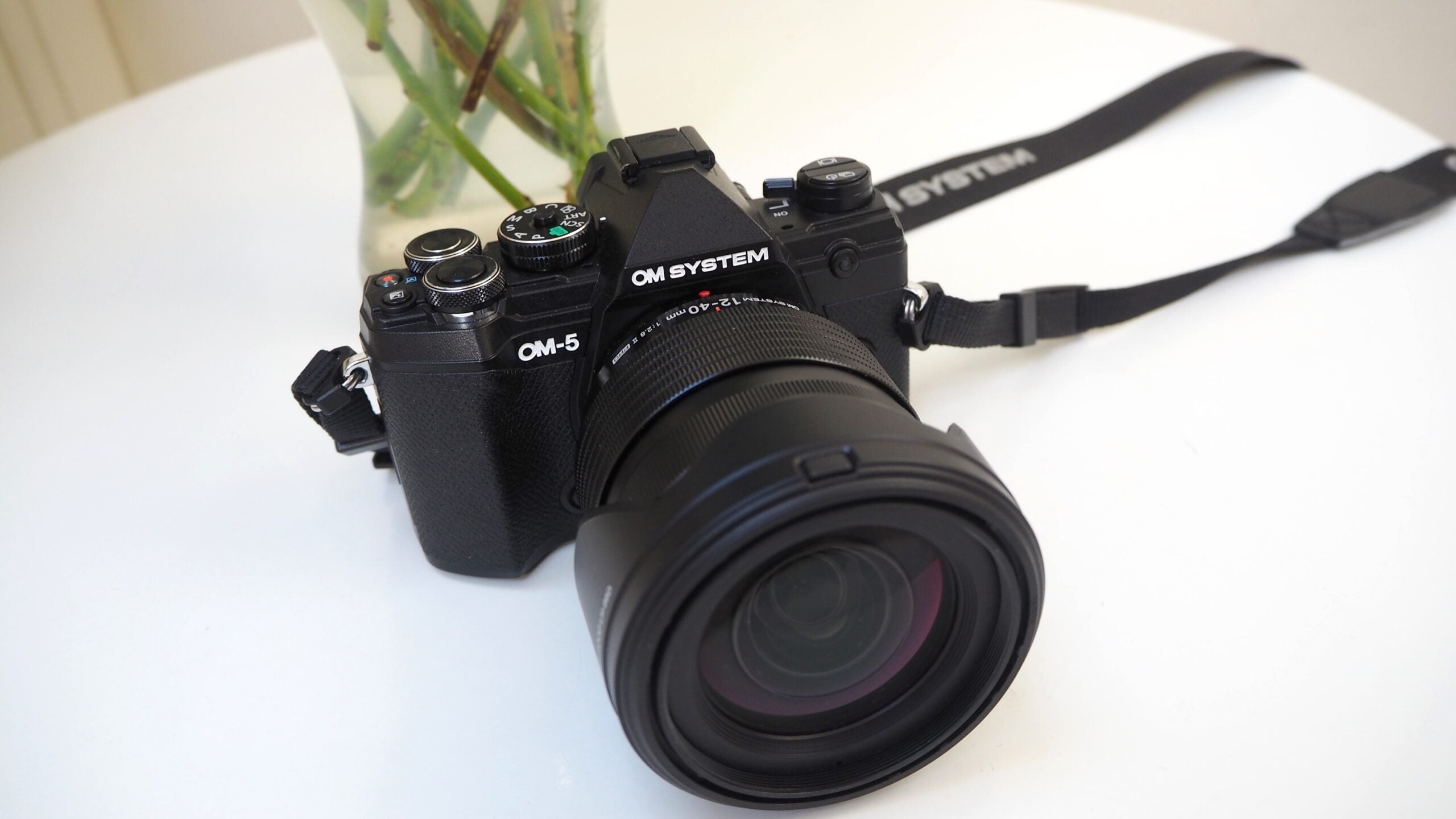 OM System OM-5 Review