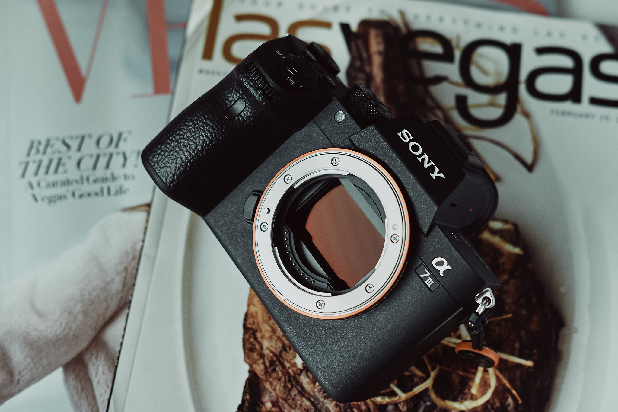 The Sony a7 III in 2025: Is it a Good Buy?