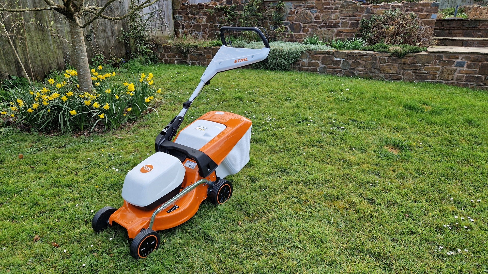 Stihl RMA 248.3 Cordless Lawn Mower Review