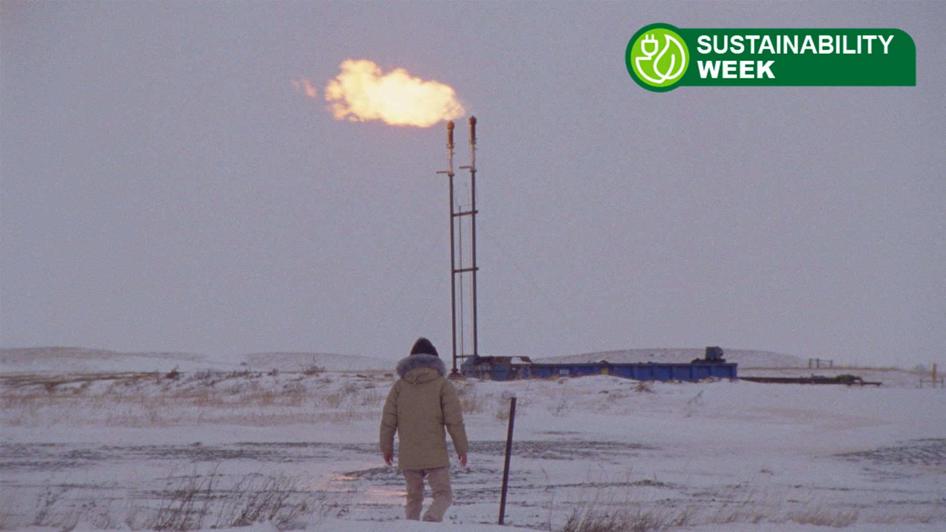 5 eye-opening movies about the climate crisis on Netflix, Prime Video, Max and more – all with over 93% on Rotten Tomatoes