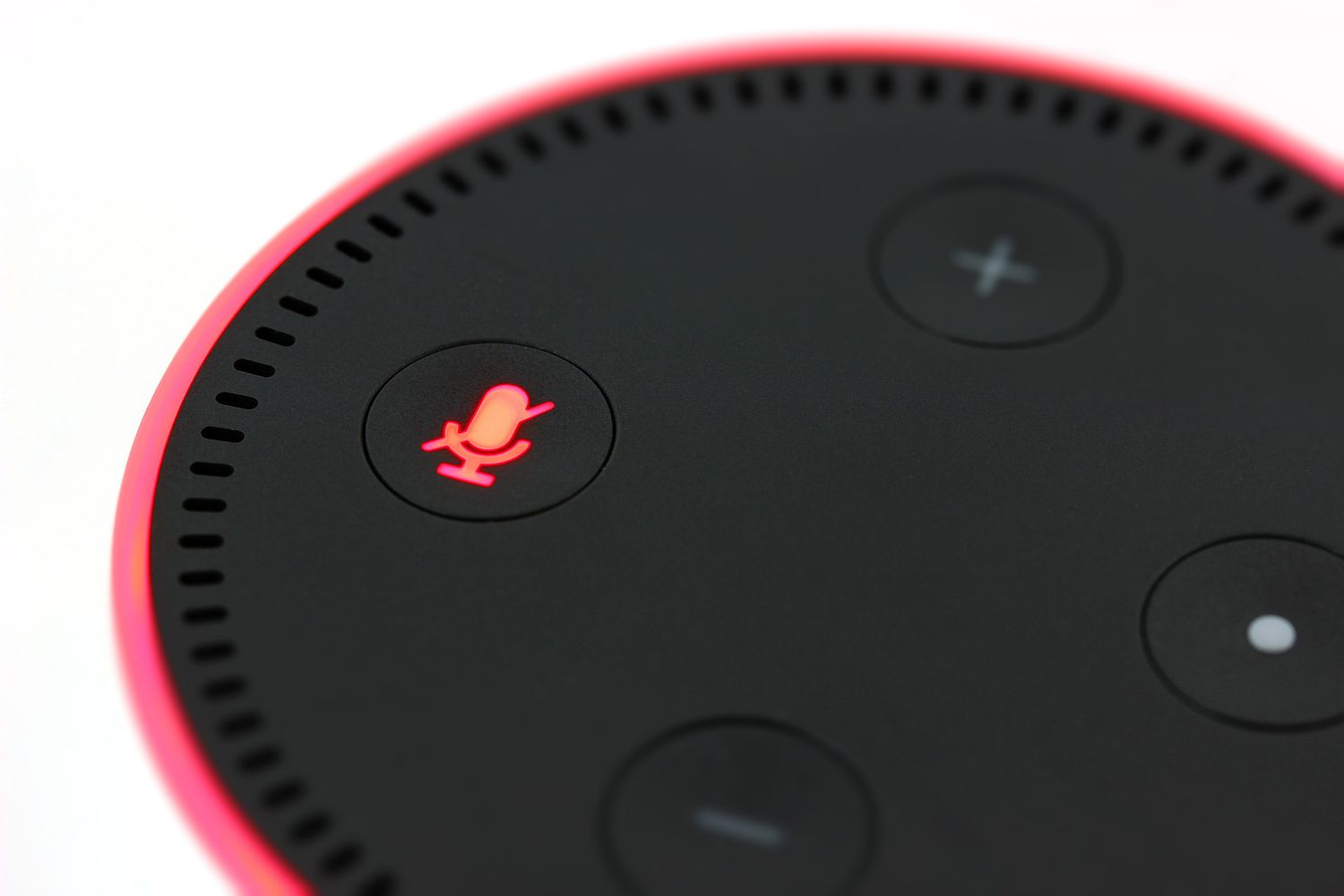 5 Alexa Radio Stations to Play in 2025