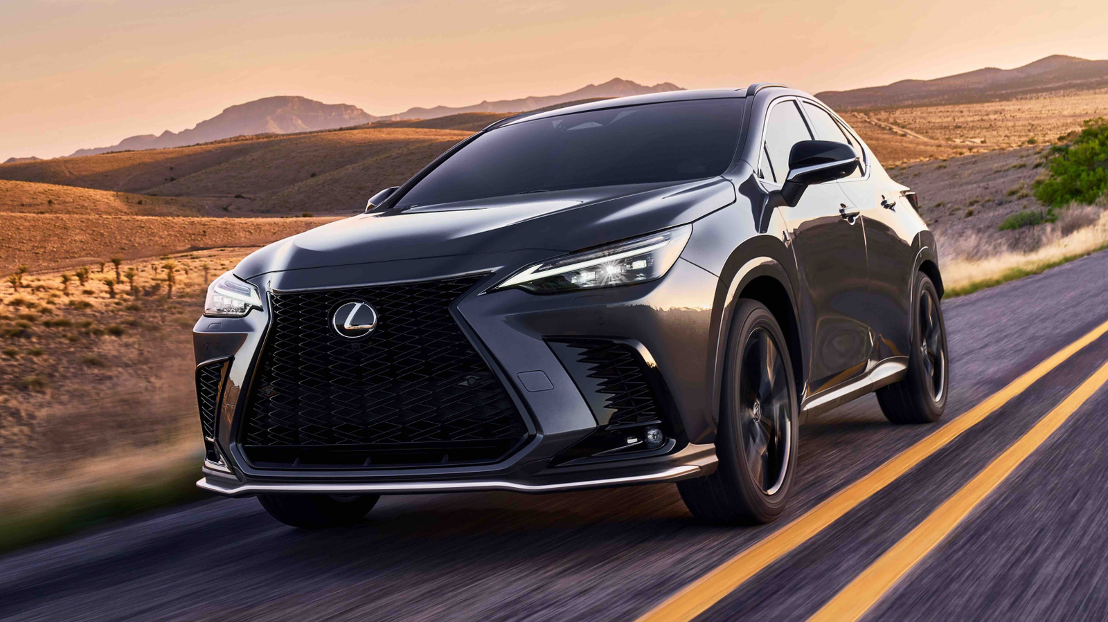 Lexus NX 250 Vs. 350: What’s The Difference Between These Trims?