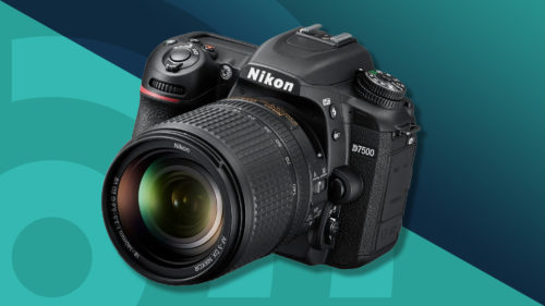 Best beginner DSLR cameras for 2025: top entry-level choices for new photographers