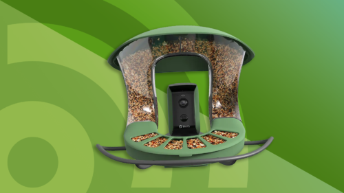 The best bird feeder camera in 2025: birdwatching at home