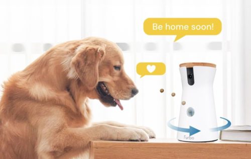 Your Dogs Called—They Want the Furbo