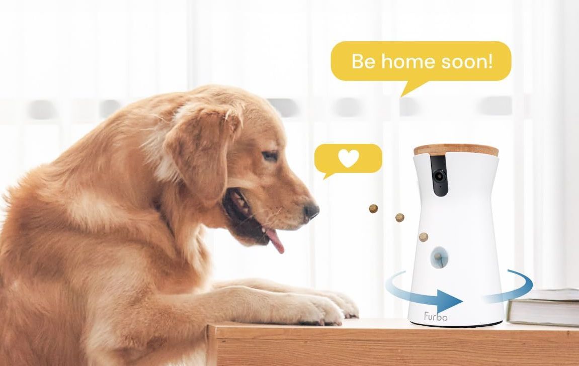 Your Dogs Called—They Want the Furbo