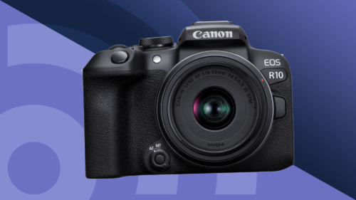 The best camera for beginners 2025: top picks for photo and video novices