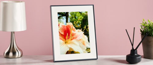 Aura Aspen review: a digital photo frame that looks as pretty as your pictures