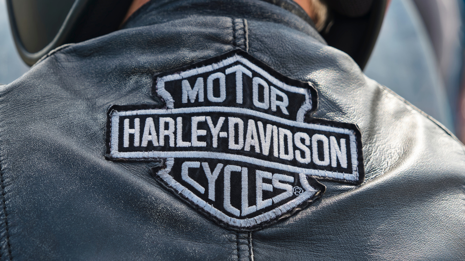 Who Is The Largest Harley-Davidson Shareholder & When Did The Company Go Public?