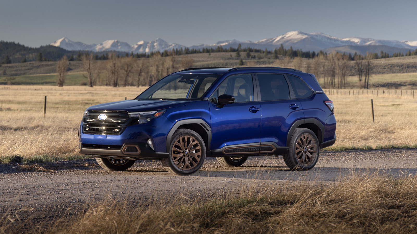The Best Easter Eggs On The 2025 Subaru Forester