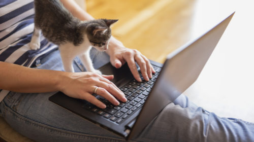 Should You Avoid Using Your Laptop On Your Lap Or Is It Just A Myth?