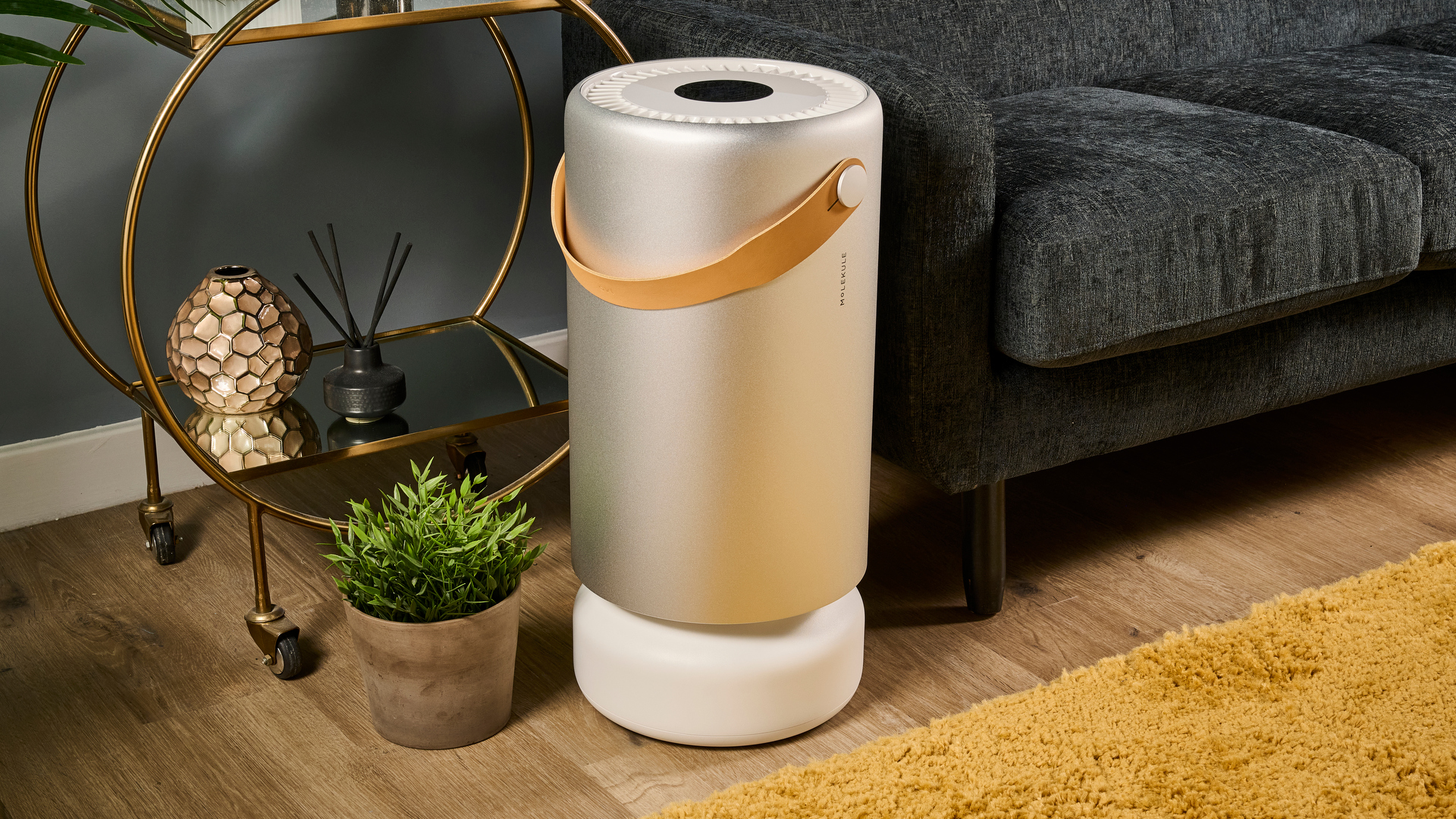 6 questions to ask before choosing an air purifier
