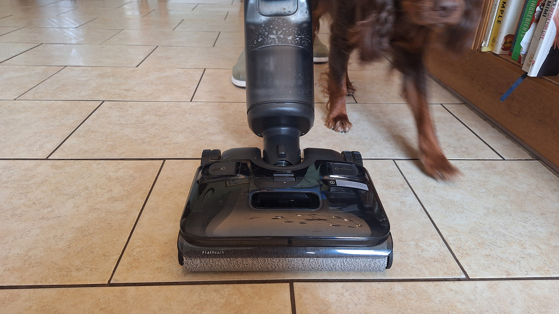 I’ve only been using it a day, but I can already tell this wet-and-dry vacuum combo is going to be a pet-owner’s new best friend