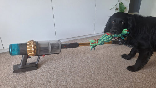 Need a vacuum for pet hair? These are the 5 essential features to look for, according to the experts