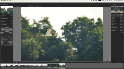 Can Darktable 5.0 Really Replace Lightroom?