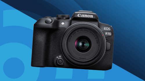 The best beginner mirrorless camera for 2025: budget stars for new photographers