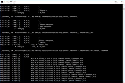 Command Prompt: Uses, Access, and Commands Explained