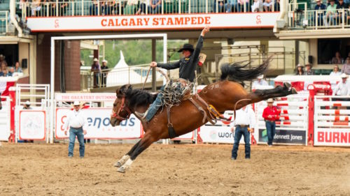 How to watch Calgary Stampede online: Live stream 2025 rodeo from anywhere