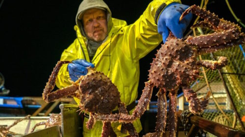 How to watch Deadliest Catch season 21 online from anywhere – stream much-loved fishing doc