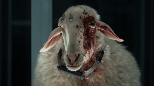Alien: Earth introduces new creatures as terrifying as the Xenomorph, but the show’s creator didn’t want to squeeze in ‘a vending machine of alien life’ for the sake of it