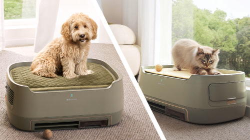 I’m obsessed with this pet bed-air purifier combo that apparently sucks up hair, dander, and pet smells right at the source