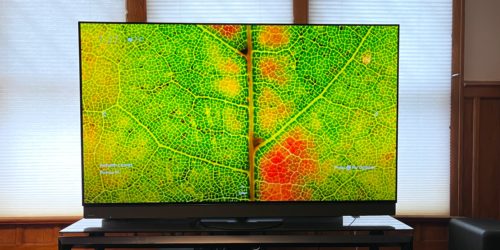 Panasonic Z95B review: a flagship OLED TV that combines refined pictures with powerful sound