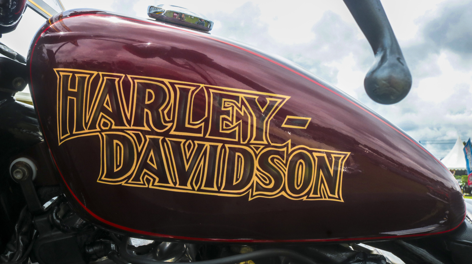Davidsons: 5 Of The Best Models You Can Buy