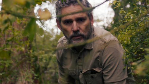 Untamed season 2: everything we know so far about the popular Netflix show’s return
