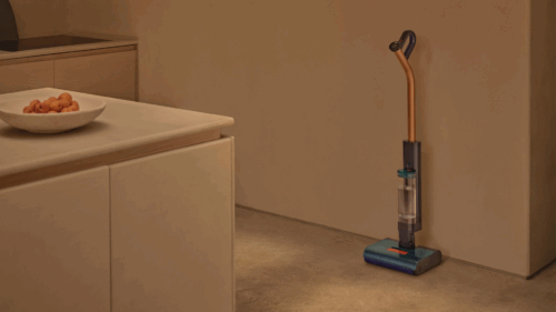 Dyson Clean and Wash Hygiene Review