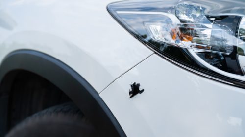 Bumper Cover Vs. Bumper: Are They The Same Thing?