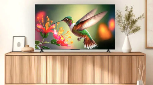 Are Insignia TVs Any Good? What Users Say About Best Buy’s Budget Brand