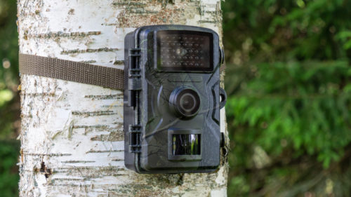 These States Have Banned Hunting Trail Cameras – Here’s Why