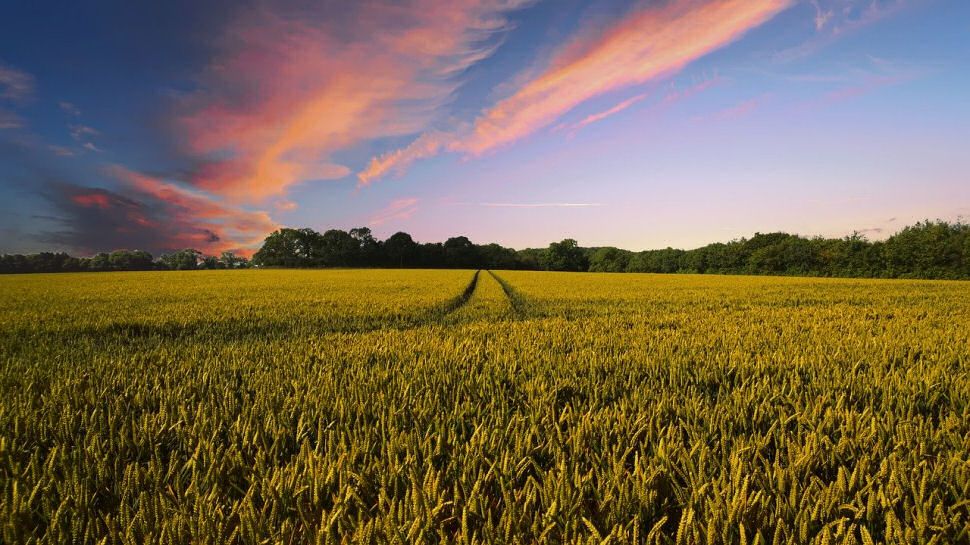 Successful harvests made possible by SATCOM