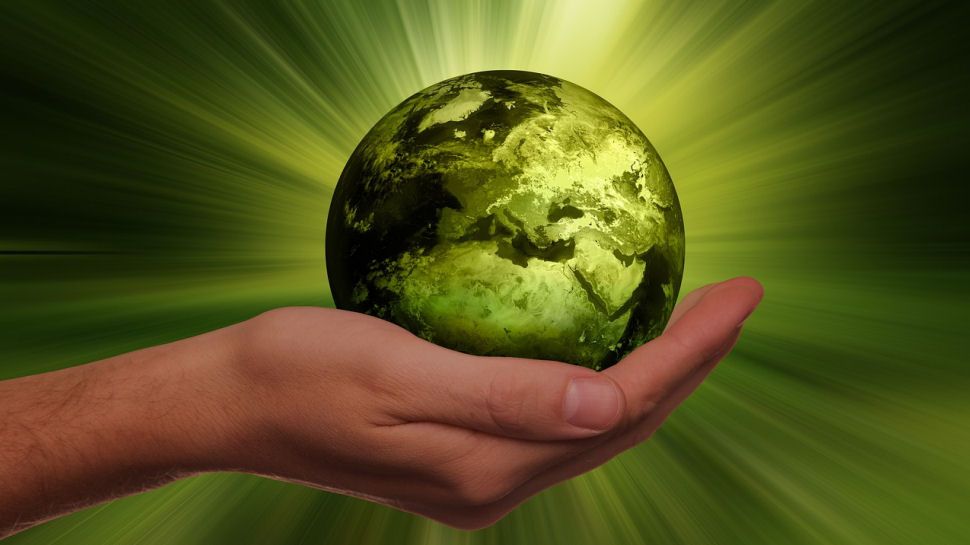 Why net zero is a business necessity and not a political football