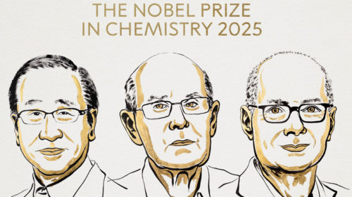These ‘Metal-Organic Structures’ Won A Nobel Prize – Now They Could Fight Climate Change