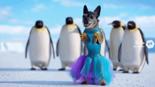 I tried Sora’s Character Cameos and now my dog thinks she’s a movie star