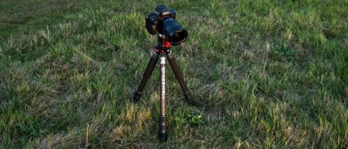 I’ve been using the Freewell Real Multi Tripod 5-in-1 for several weeks, and it’s everything I’ve ever wanted in a travel tripod and more