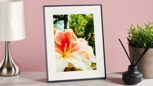 The best digital photo frame 2025: beautiful frames, for any budget
