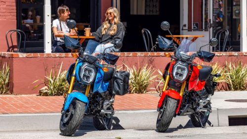 What Kind Of Gas Should You Use In A Mini Bike?